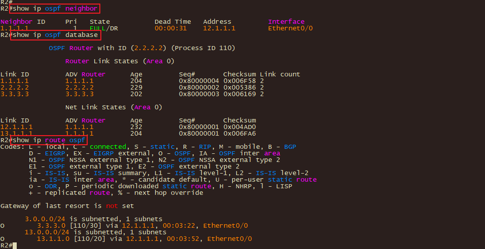R2的OSPF邻居&DB&路由表