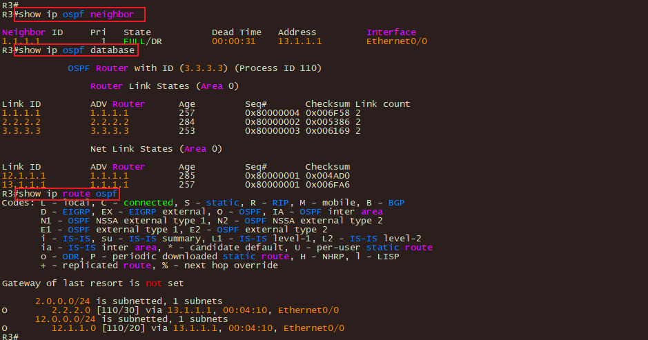 R3的OSPF邻居&DB&路由表