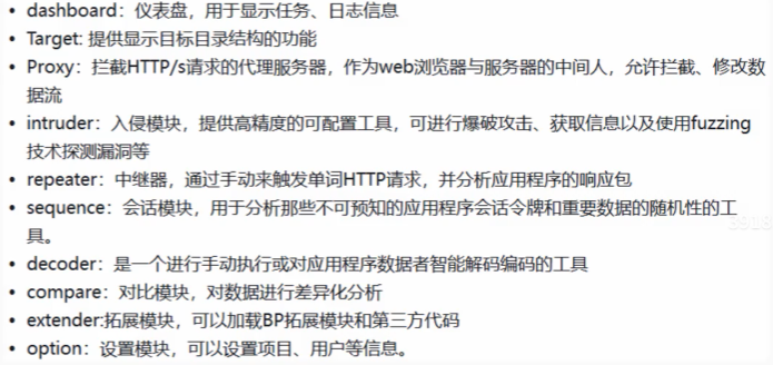 BurpSuite模块