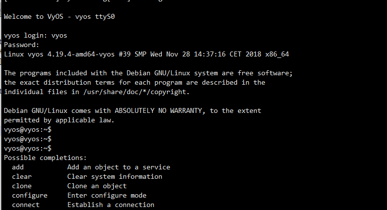 VyOS Serial Console System