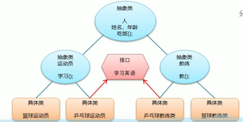 运动员与教练分析1