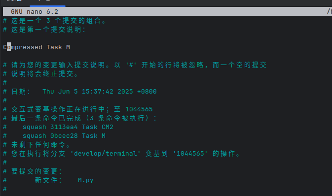 2025-06-08-Git用法总结24.png
