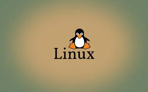 常用Linux命令