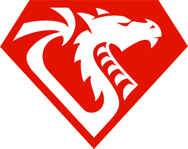 High quality dragon ruby icon in PNG format