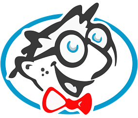 High quality nzbgeek icon in PNG format