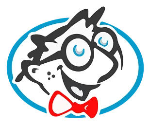 nzbgeek in webp format