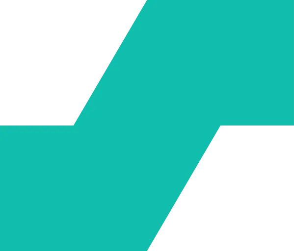 salt-project in webp format