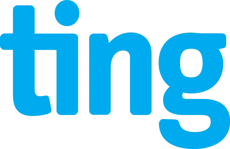ting-isp in webp format