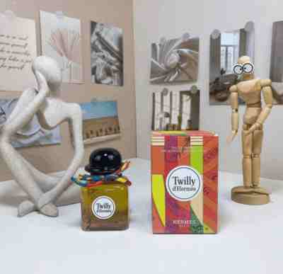 twilly d'hermes