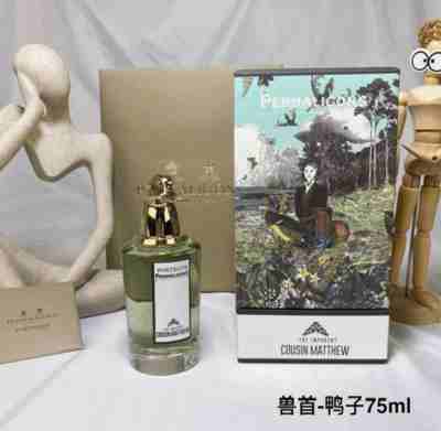 The Impudent Cousin  Matthew