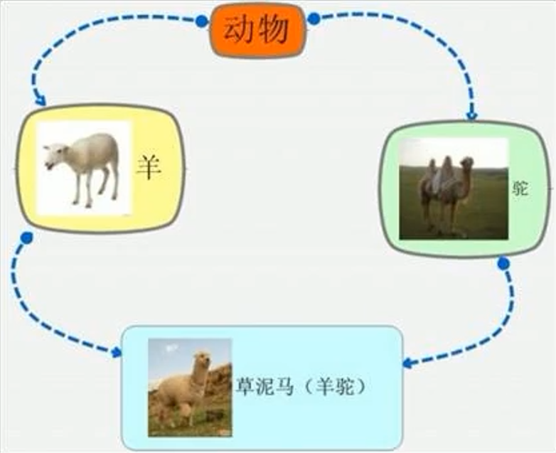 image-20210119191010164