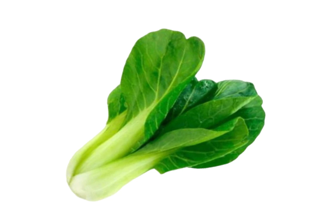 黑青菜