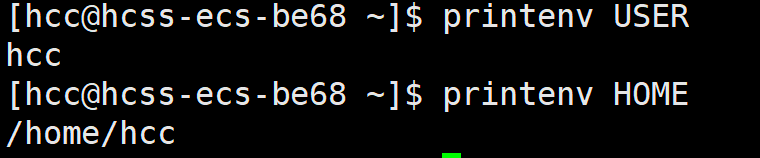 image-20250319185701254