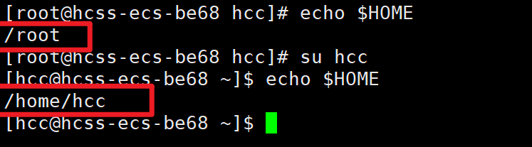 image-20250322205018865