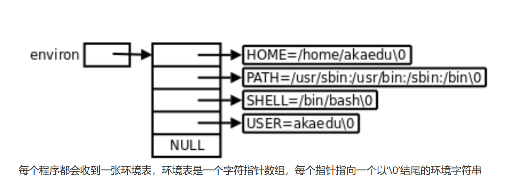 image-20250322205313857