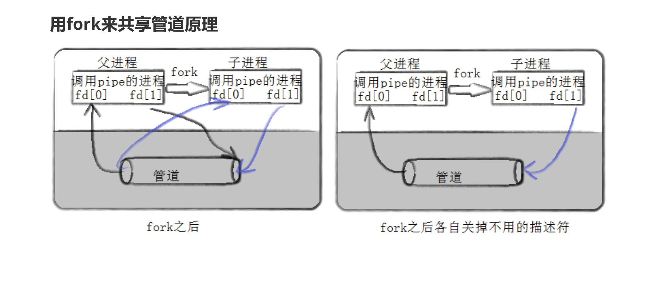 image-20250618130238994