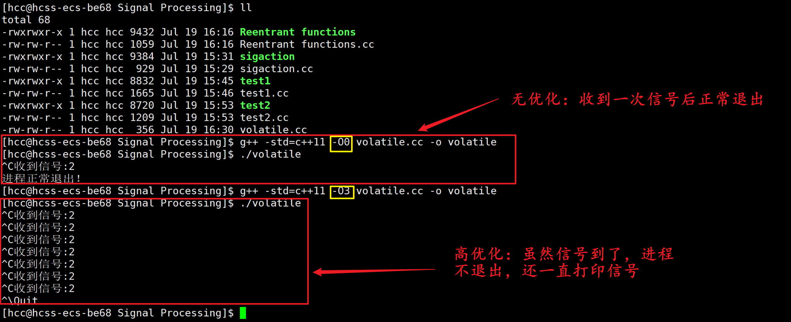 image-20250719164021603