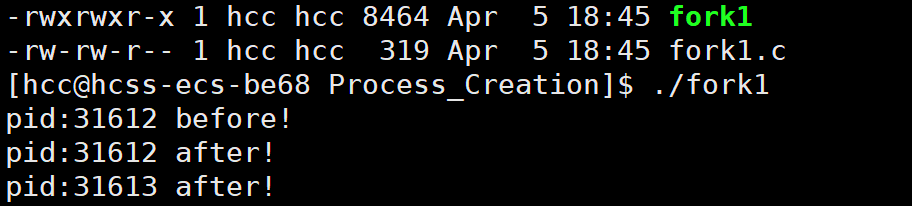image-20250405184713829