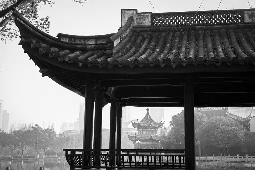 清晨的月湖公园