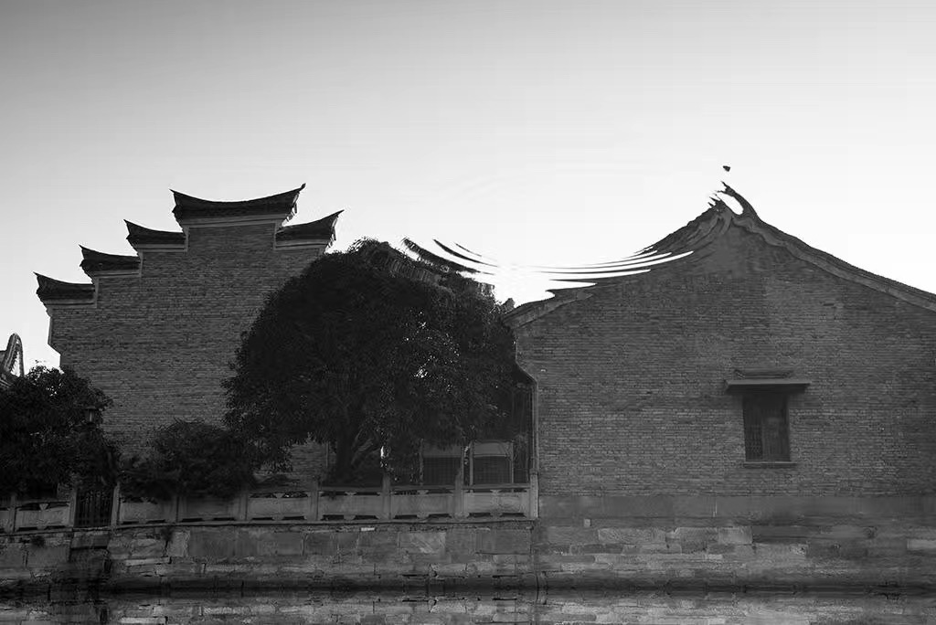 清晨的月湖公园