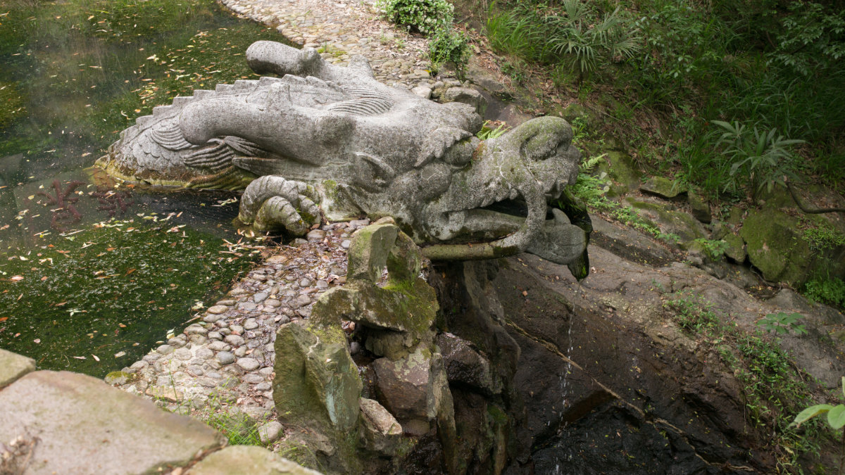 灵龙泉