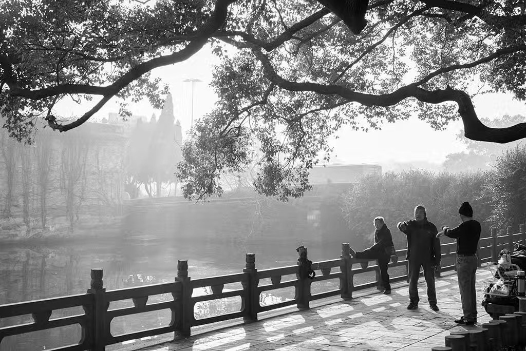清晨的月湖公园