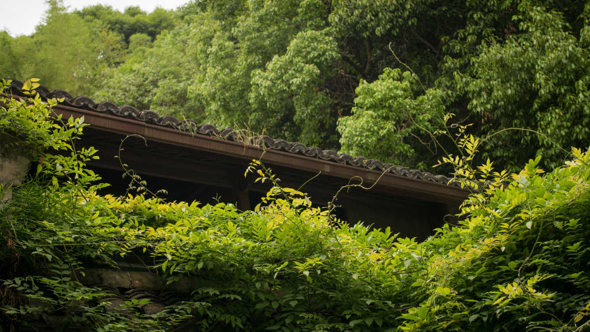寺内小景
