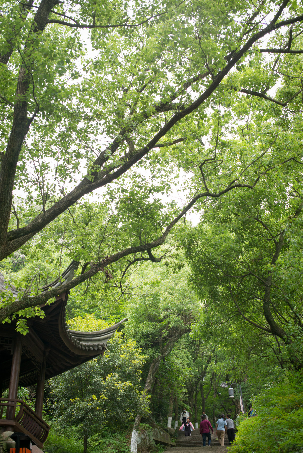 上山步道