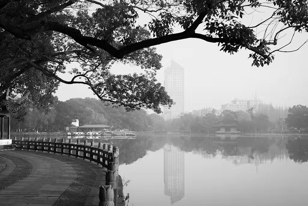 清晨的月湖公园