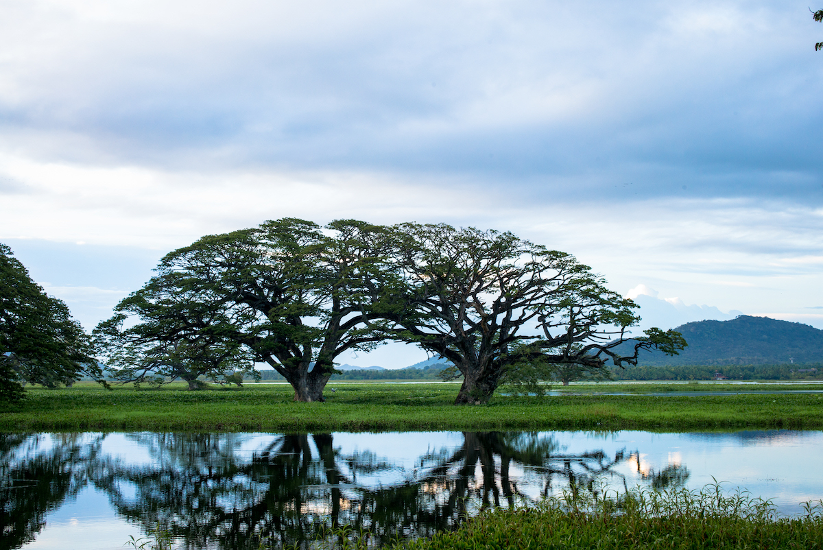 Tissa湖风景