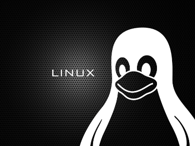 Linux设置固定IP地址