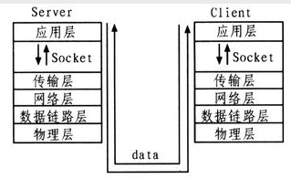 Socket是应用层和传输层之间的桥梁