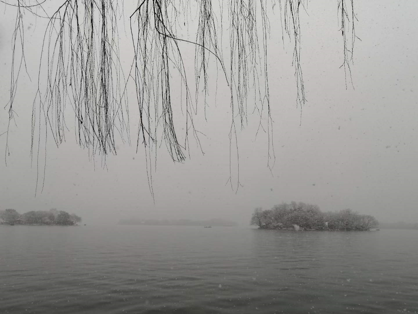 image-20220207155531040