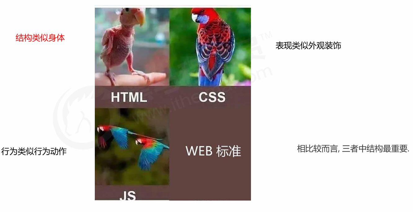 image-20250722070701714