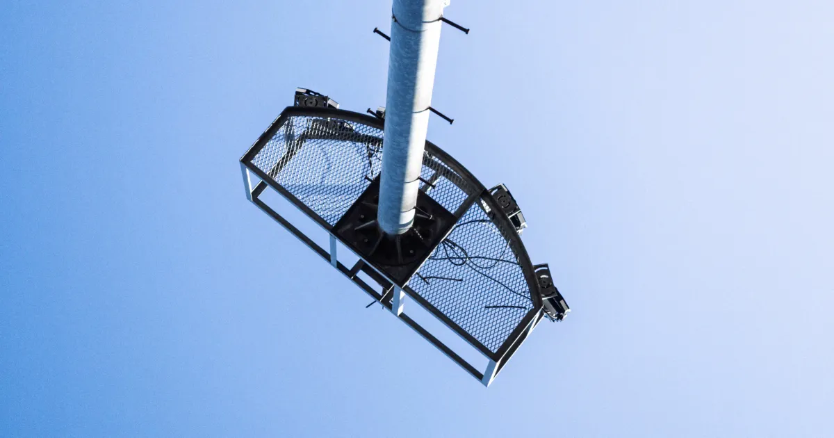 올해의 사진은 요거