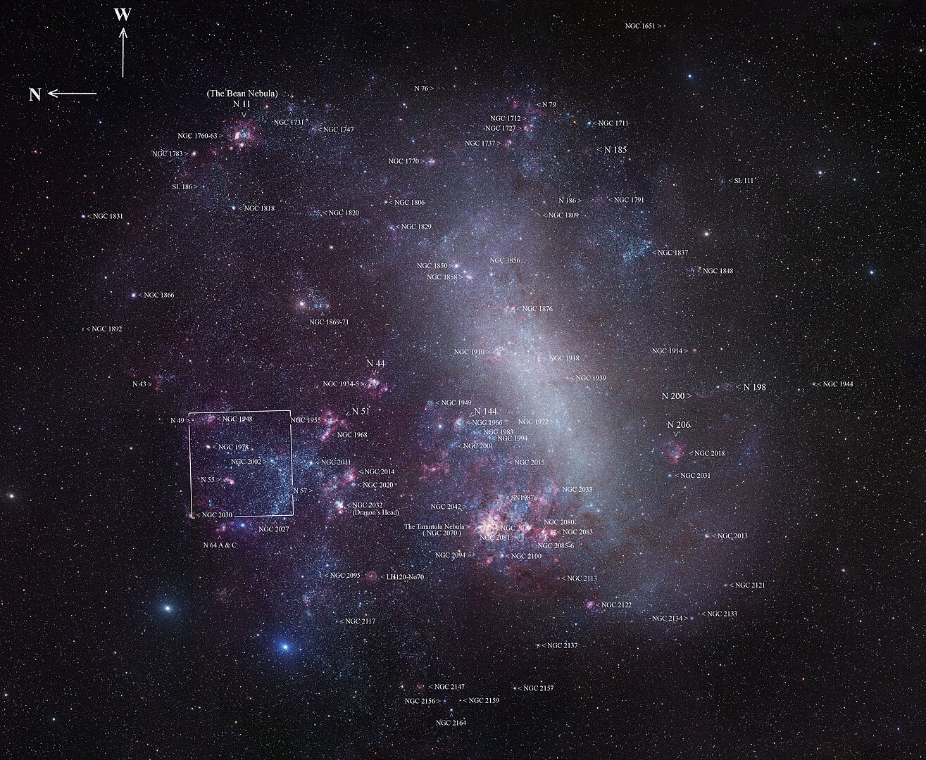 大麦哲伦星系内的显著星体
