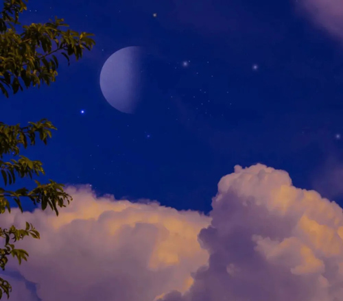 为什么要好好读书