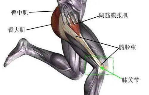 【健康知识二】跑步膝——髂胫束摩擦综合征_康复