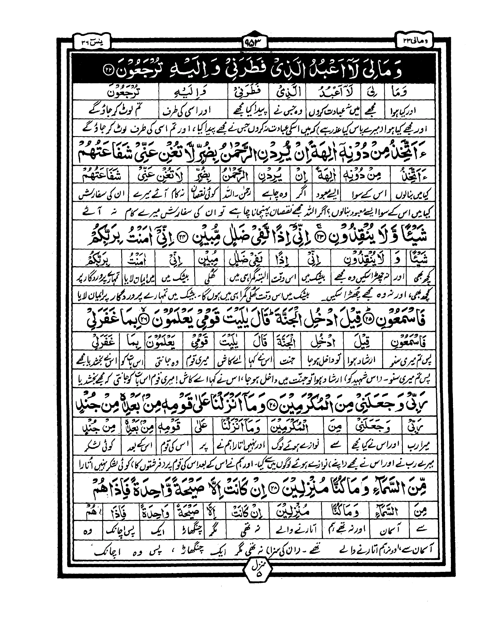 Para 23 – Page 1 of 42