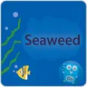 seaweedfs