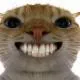 LaoFeng-mouse