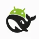 DSH-APP