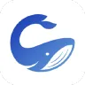 codewhale-hq