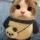 xxnuo