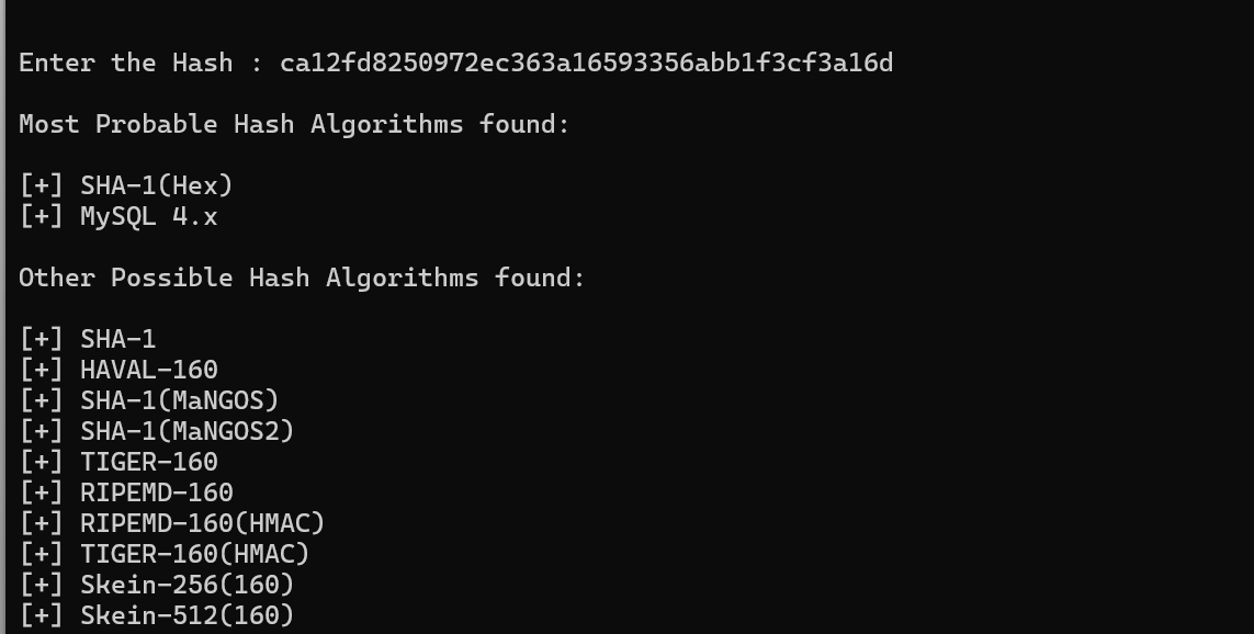 image-20250117134222796