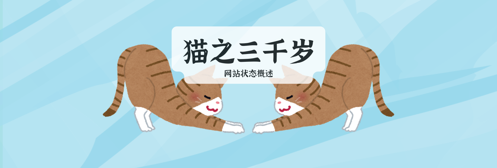 猫之三千岁：网站状态概述