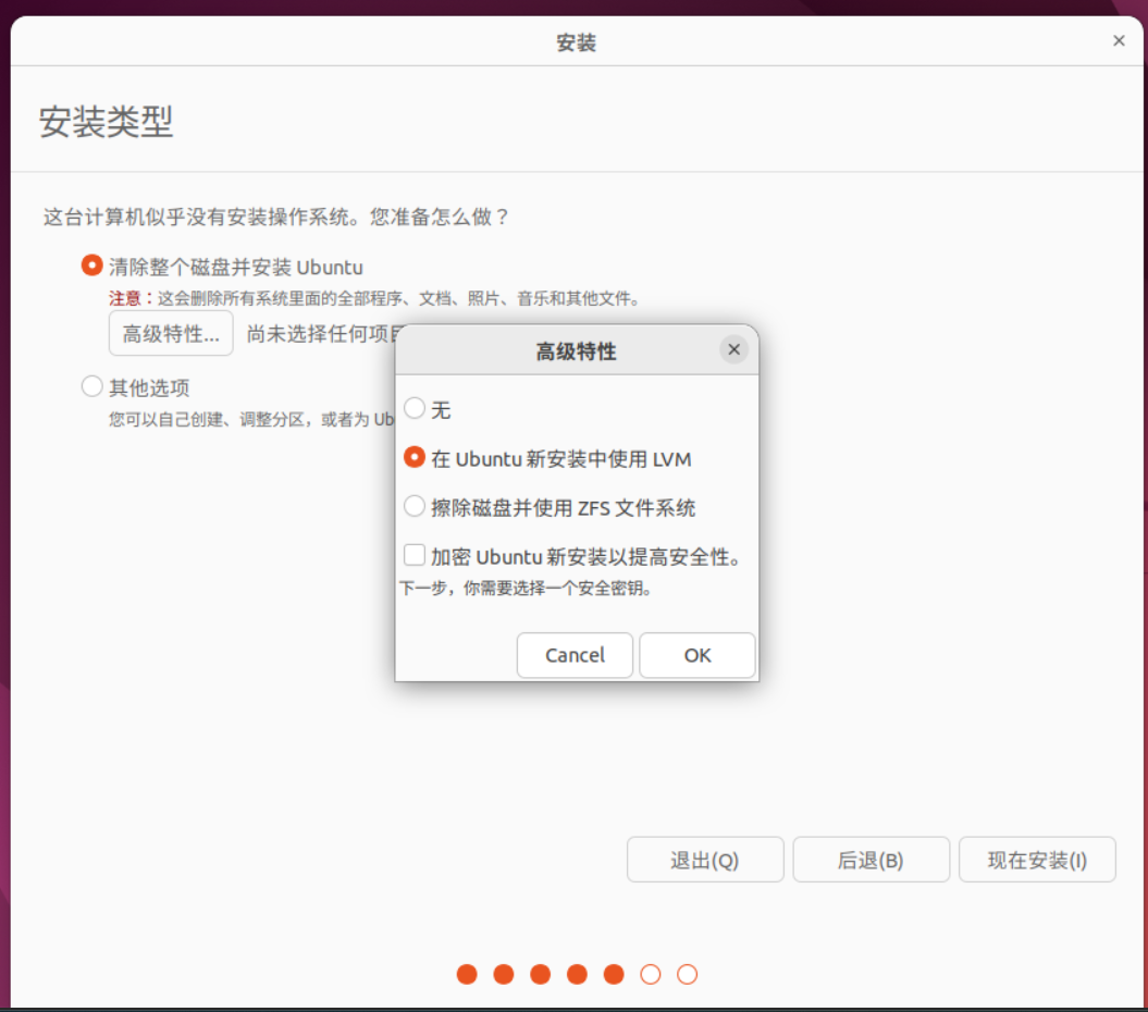 安装类型-高级特性