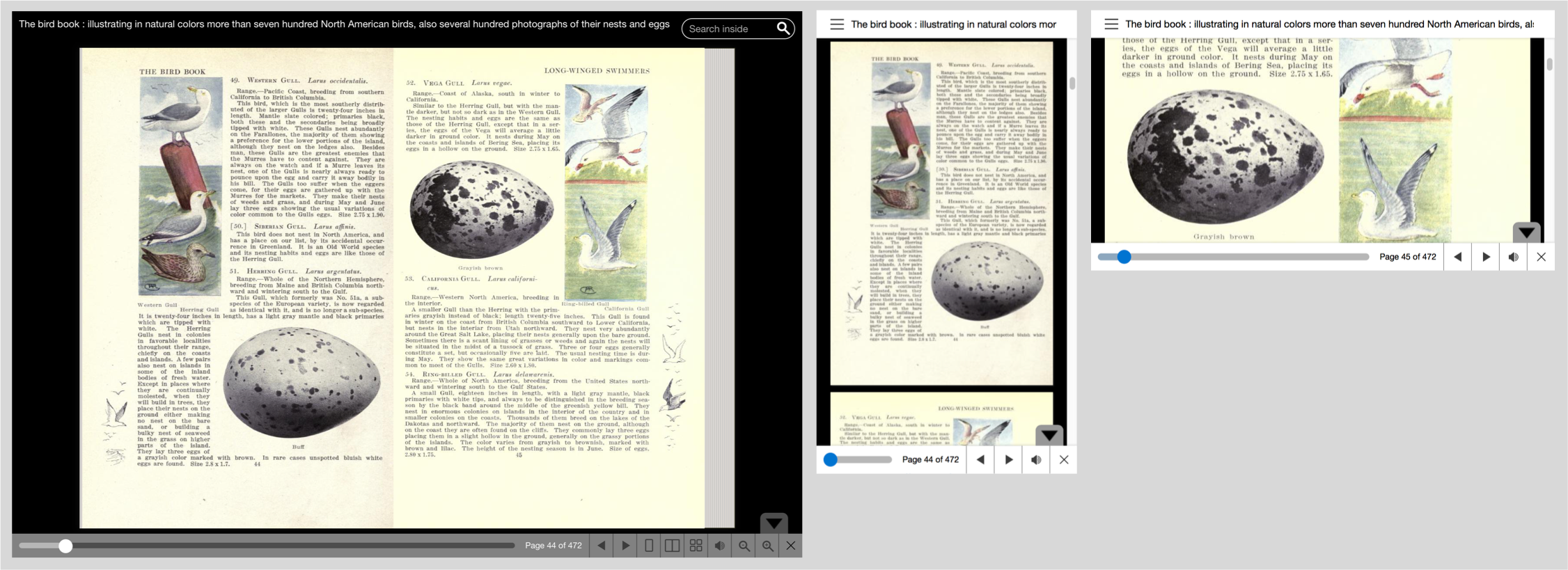 INTERNET ARCHIVE BOOKREADER visual data 6