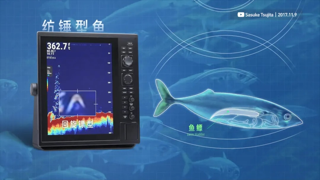 Vol/Vol.123 如何吃上肥美的大鱿鱼/7.jpg