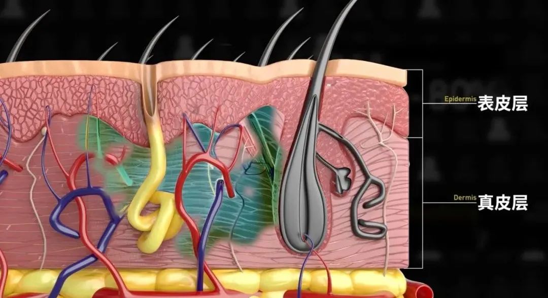 Vol/Vol.129 为什么你的脚这么臭/17.jpeg